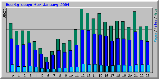 Hourly usage for January 2004