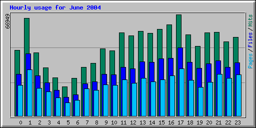 Hourly usage for June 2004